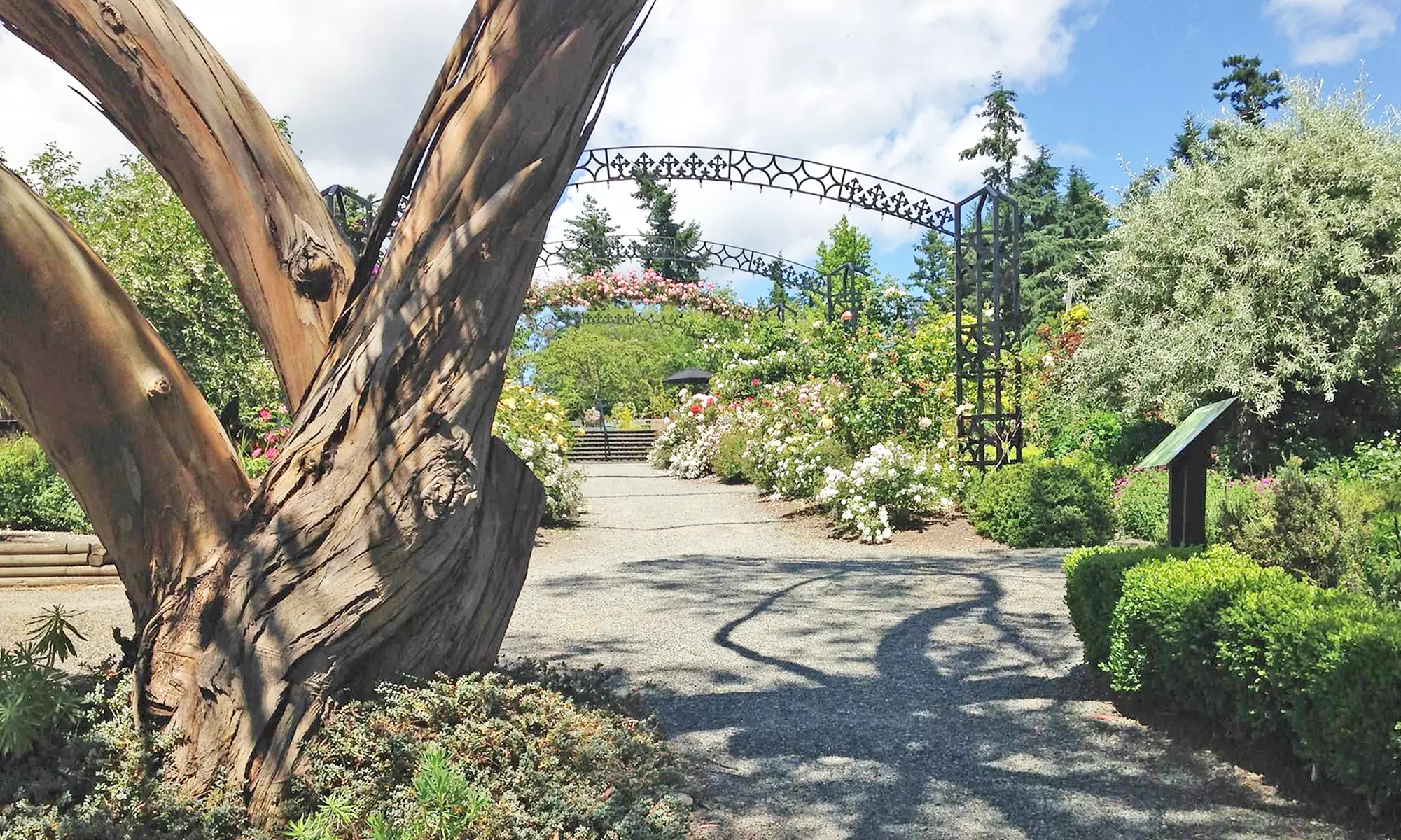 Individual, Couples', or Senior Membership to the Horticulture Centre of the Pacific (Up to 43% Off) - Primary Image