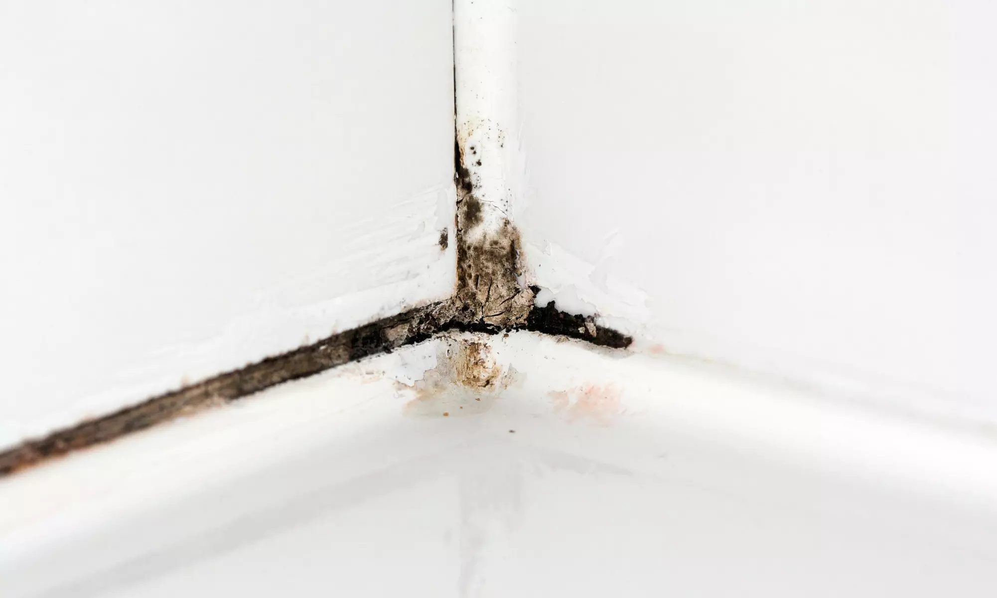 $375 Off $750 Worth of Home Mold Testing / Removal - Primary Image
