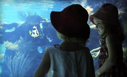 $9 for a Visit for Two at Idaho Public Aquarium (Up to $18 Value) - Primary Image