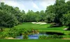 18-Hole Round of Golf for Two or Four with Cart Rental at El Diablo Golf and Country Club (Up to 53% Off)