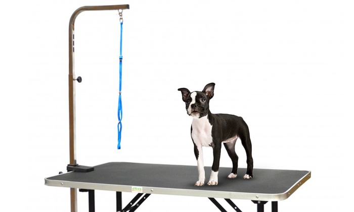 Pet Dog Grooming Tables with Arm | Groupon Goods