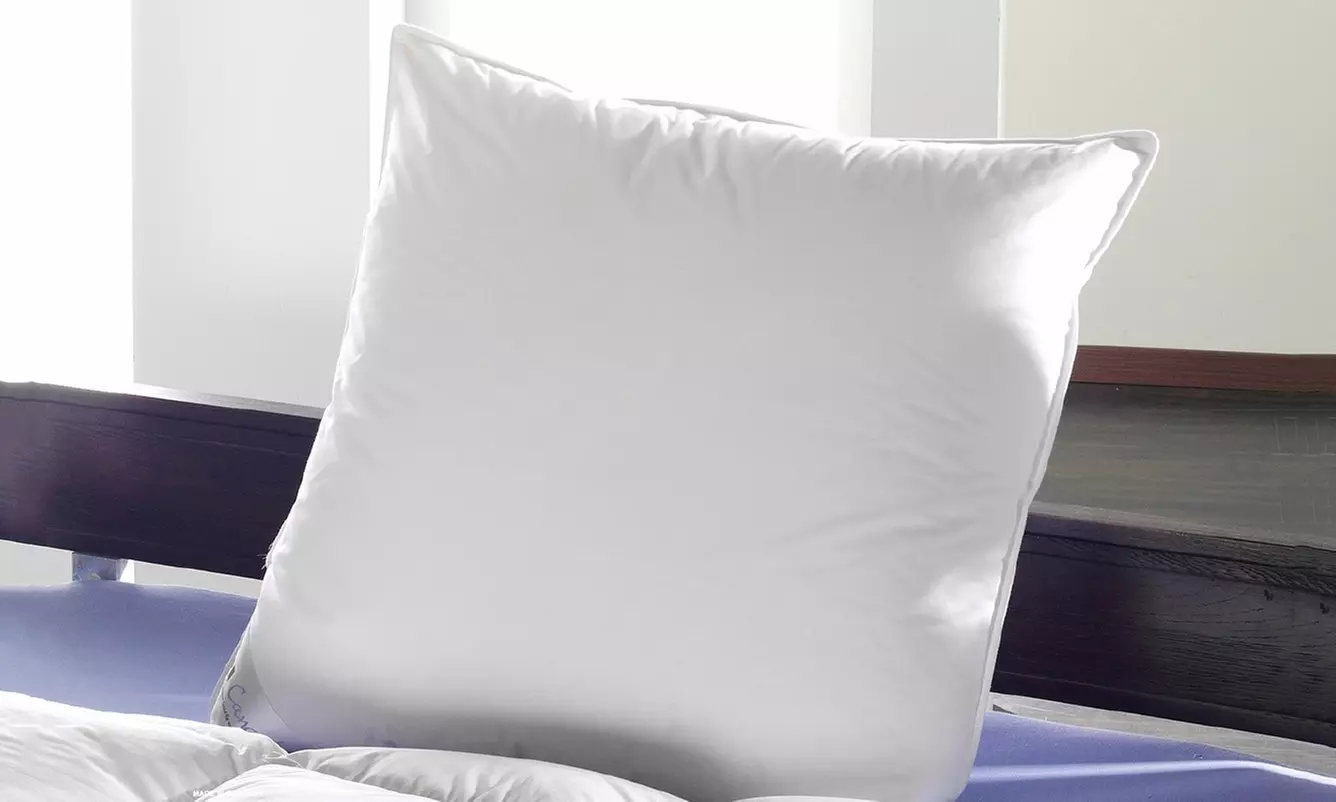 1x, 2x, 3x oder 4x Wolkenschloss 3-Kammer-Kopfkissen VANESSA 80 x 80 cm mit Gänsefedern im Kern - Primary Image