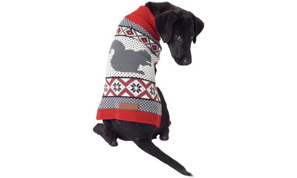 Eddie bauer hot sale dog clothes