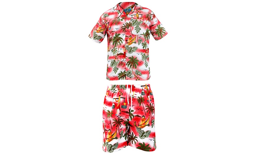 Image 7: Hawaiian Shirts and Shorts