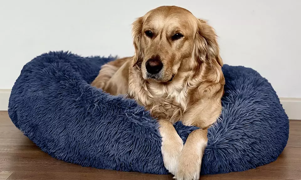 Cuccia extra-soffice per gatti e cani