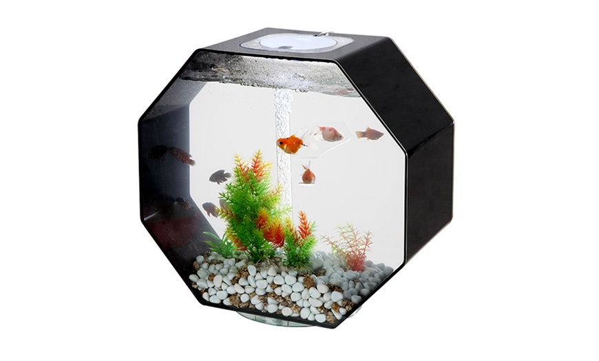 Aquavista Octagon Fish Aquariums | Groupon Goods