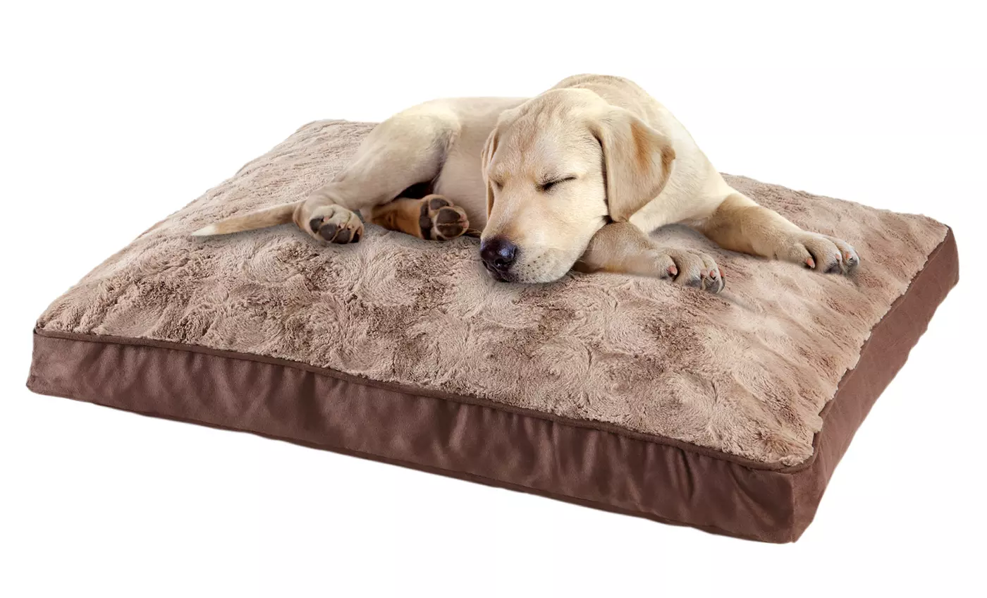 Animal Planet Memory Foam Large Pet Bed - Primary Image