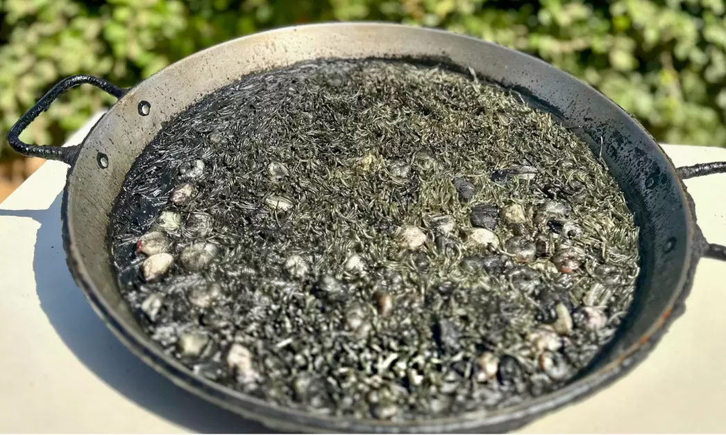 Menú de arroces para 2 o 4 frente al mar con postre y opción a vino