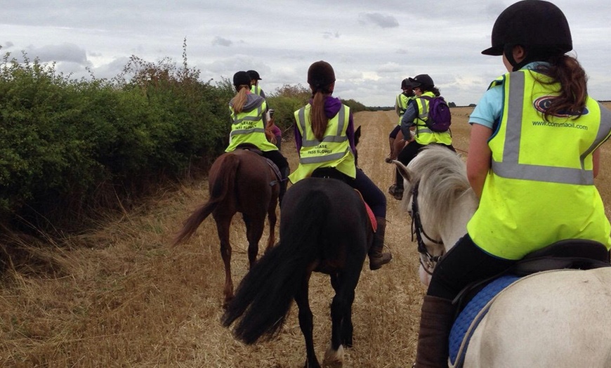 Image 3: Two-Hour Horse Riding Experience