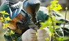 $26 for a Paintball Package at Paintball Park in Lakeland (Up to $52 Value) 