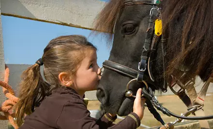 Two or Five Private Horseback-Riding Lessons or a Horseback Party for Twelve at Fairhope Stables in Duluth - Primary Image