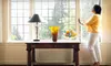12 Windows Cleaned, $60 Worth of Window-Cleaning Services or $100 Worth of Window-Cleaning Services from TMC Cleaning