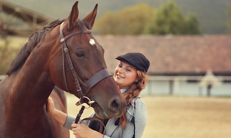 3 o 5 lezioni di equitazione per una o 2 persone al maneggio Wild Ranch (sconto fino a66%)