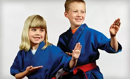 $20 for 10 Martial Arts Classes at Pro Dojos ($150 Value). 40 Locations Available. - Primary Image