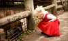 $45 for The Simple Tricks Photo-Exploration Workshop at Photo Tutor at Overland Park Arboretum ($100 Value). Four Dates Available.