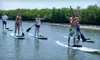 $45 for Two Admissions to Paddleboarding Lesson and River Tour from New Smyrna Stand Up ($90 Value)