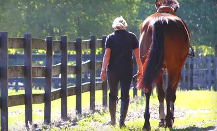 $22 for a One-Hour Horseback Trail Ride at Jewel Court Stables in Winter Garden ($45 Value) - Primary Image