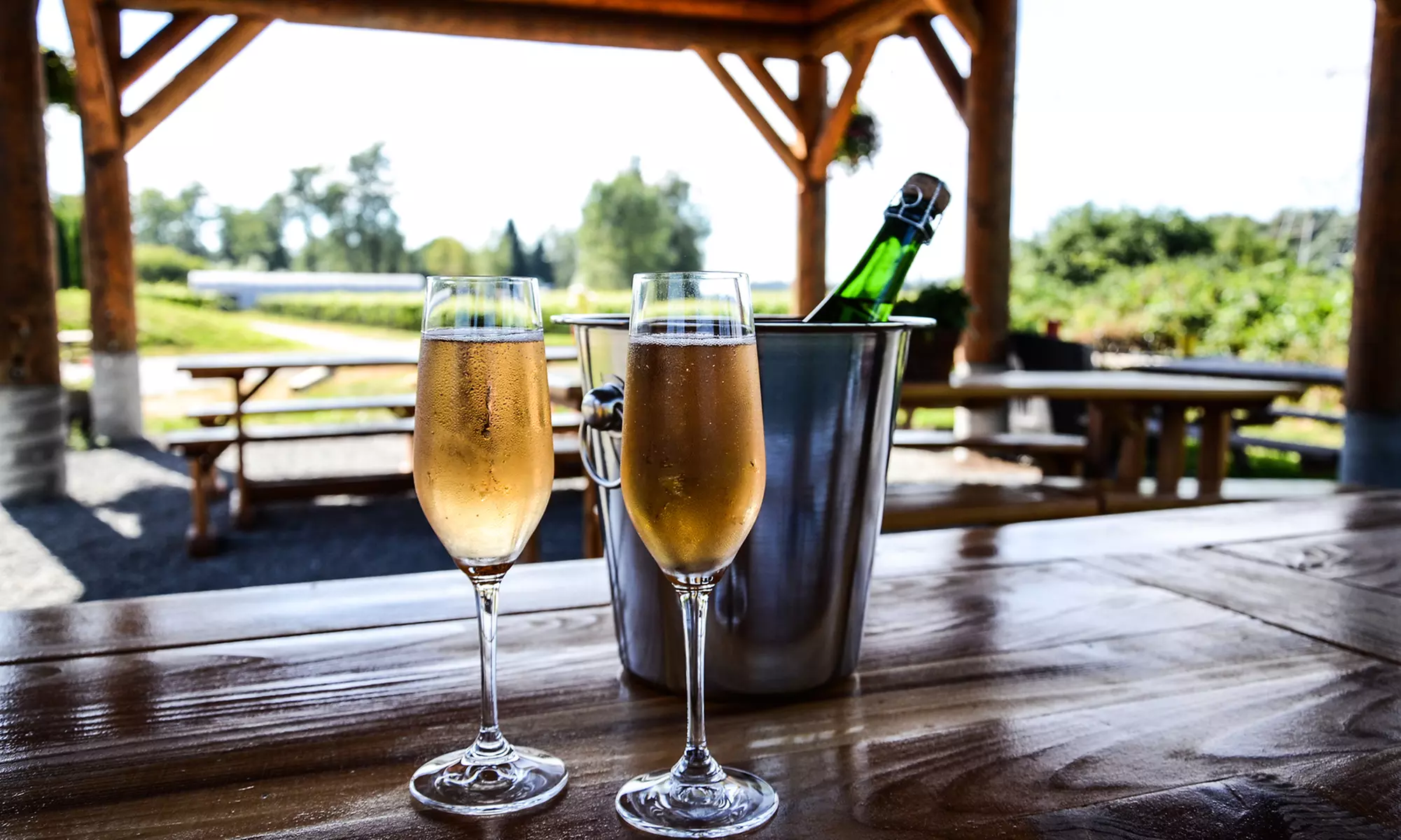 Bubble Tour, Tasting, and Food Pairing for Two or Four at Backyard Vineyards (Up to 50% Off) - Primary Image