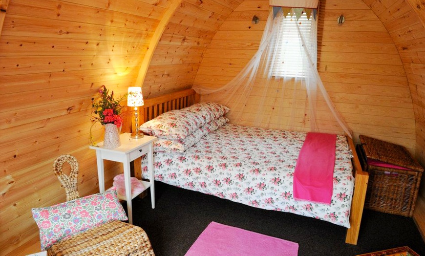 Image 4: Glamping in County Leitrim