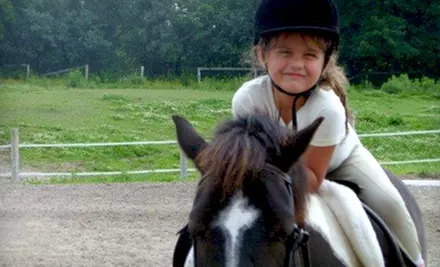 $35 for One Day of Summer Camp and Helmet Rental at Heartland Equestrian in Whitby ($70 Value) - Primary Image