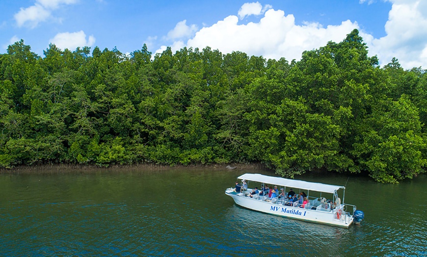 Image 2: Daintree and Cape Tribulation: 1-Day 4WD Experience for Up to 4