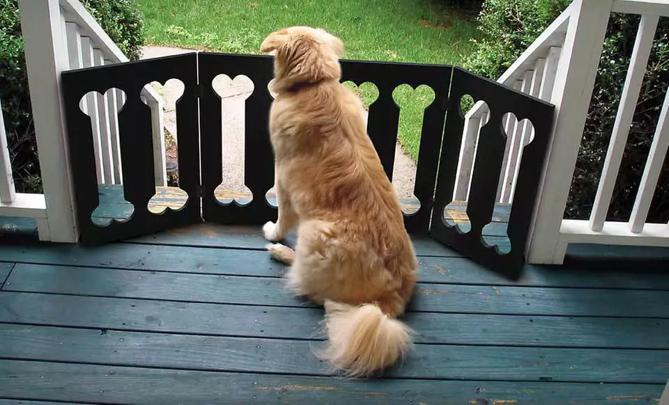 $26 for an Adjustable Black-Paw or Dog-Bone Wooden Pet Gate (Up to $99.99 List Price). Free Shipping. - Second Medium