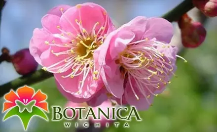 $25 for a Family Membership to Botanica, The Wichita Gardens - Primary Image