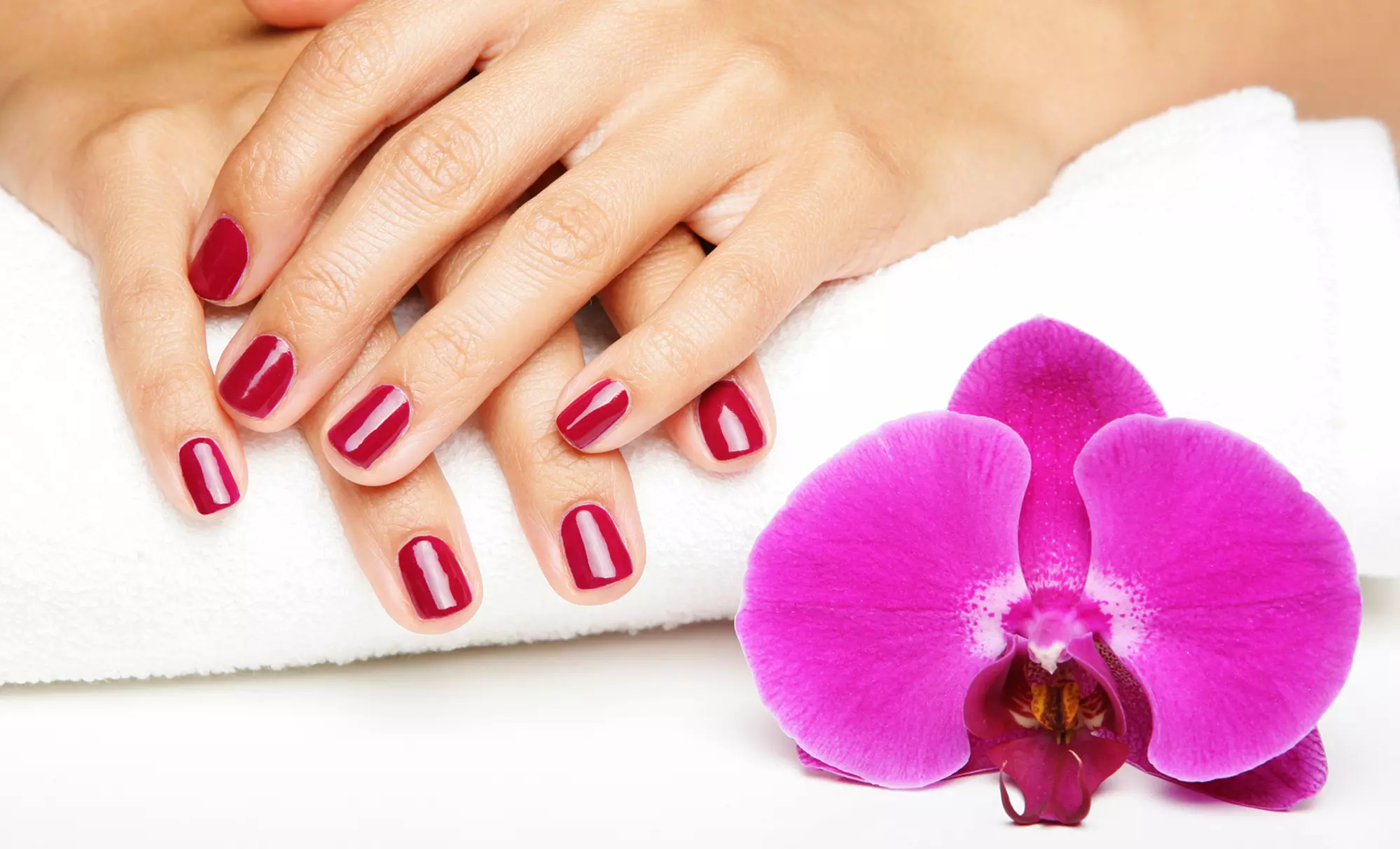One or Three Shellac Manicures at Nails by Lauren (Up to 54% Off) - Primary Image