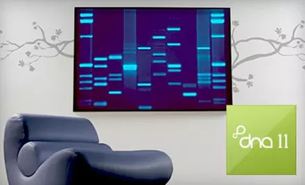 $250 for One 24"x36" DNA Portrait for One Person with Gallery-Stretch Frame and Digital Download from DNA 11 - Primary Image