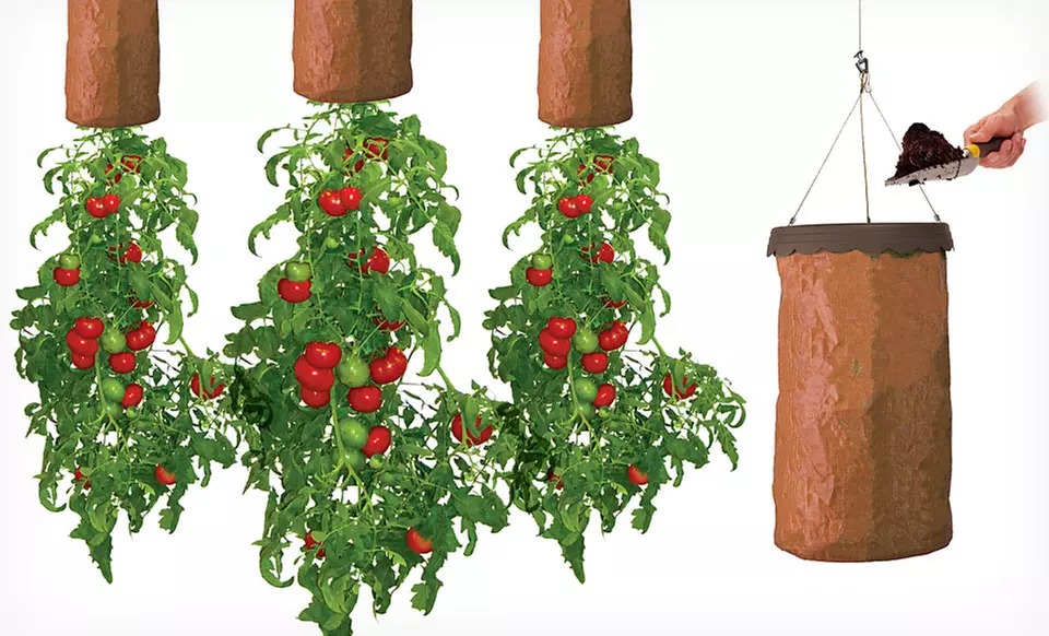 $8.99 for a Set of Three Topsy Turvy Down Under Tomato Planters ($19.99 List Price) - Primary Image