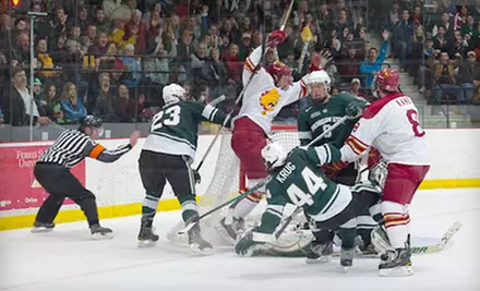 Two Adult Tickets to Ferris State Bulldogs Hockey Game at Ewigleben Arena in Big Rapids. Four Games Available. - Primary Image