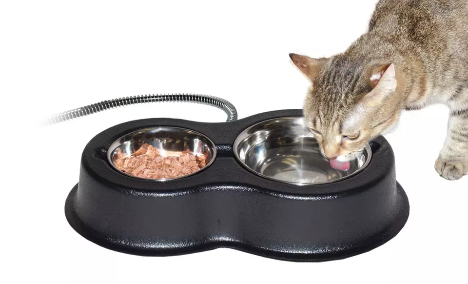 Thermo-Kitty Cafe Cat Bowl - Primary Image