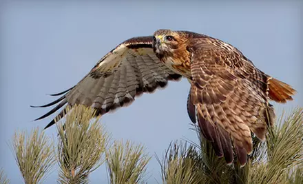 $59 for a Two-Hour Photography Nature-Walk Workshop from Nature's Photo Adventures ($150 Value) - Primary Image