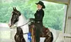 $15 for a One-Hour Evaluation and Lesson at China Pointe Stables in Binghamton ($30 Value)