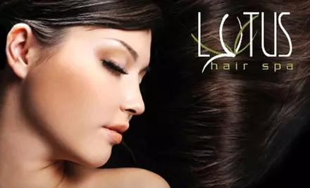 $20 for a Haircut, Brow Wax, and Scalp Massage at Lotus Hair Spa in Meridian (Up to $50 Value) - Primary Image