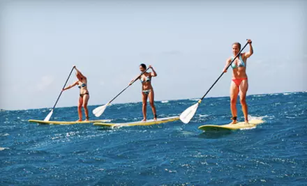 Paddleboard Lesson or Tour from South Coast Watersports in Port Dover - Primary Image
