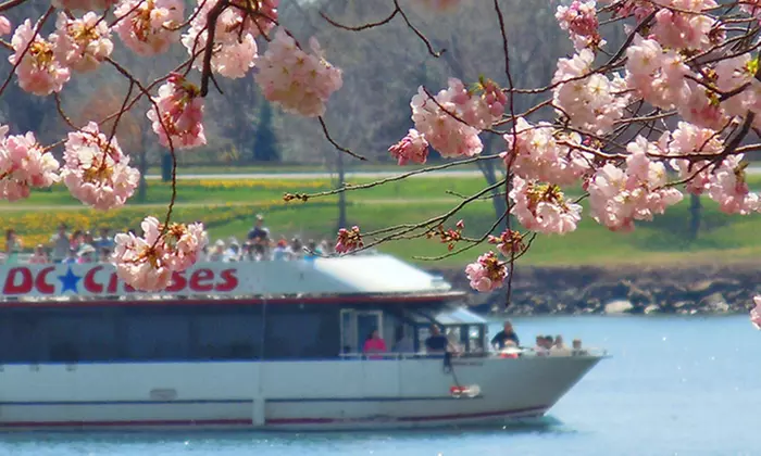 One-Hour Cherry Blossom Happy Hour Boat Tour for One, Two, or Four from DC Cruises (Up to 50% Off)  - Primary Image