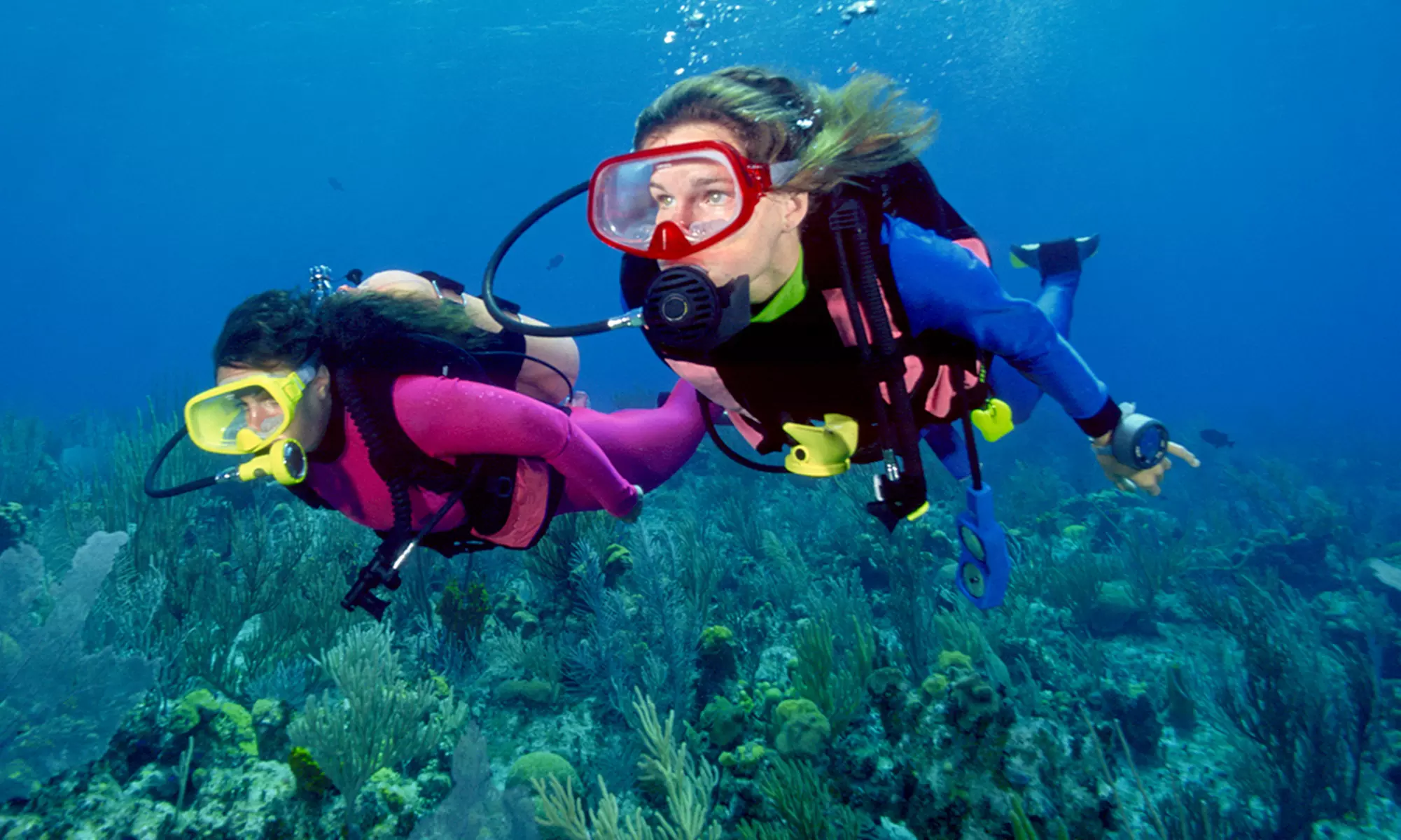 Discover Scuba Class for One, Two, or Four at H2O Scuba Center (Up to 63% Off) - Primary Image