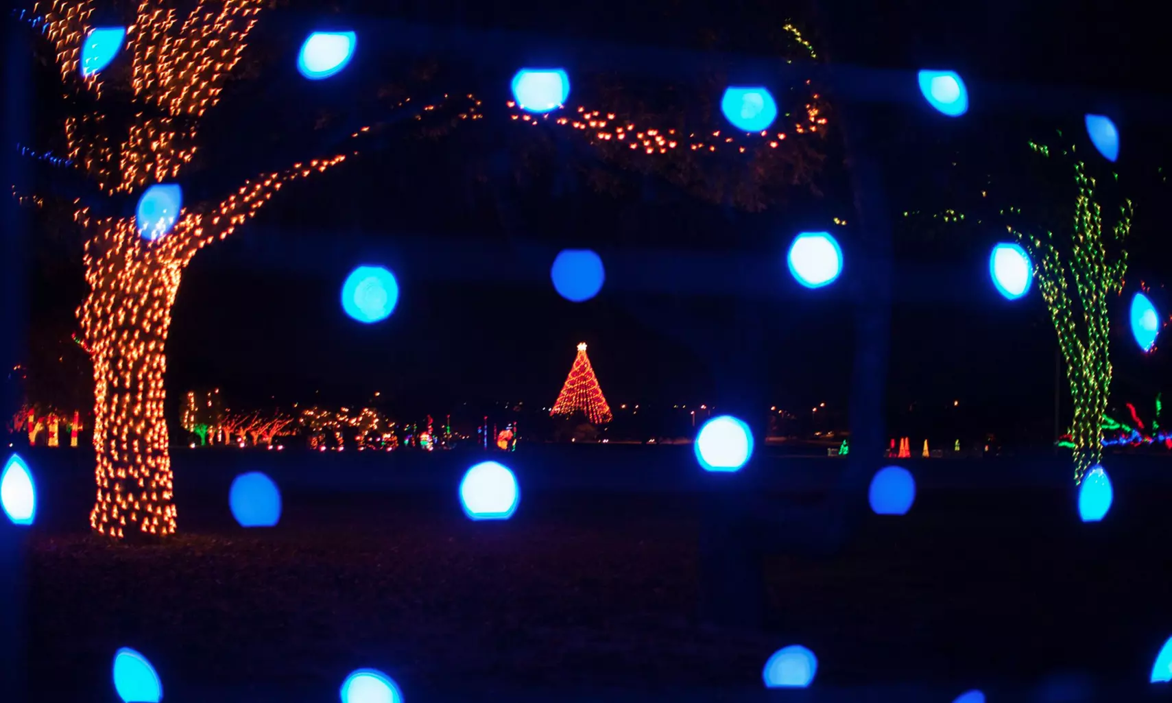 Austin Trail of Lights, presented by H-E-B (December 16–22)  - Second Medium