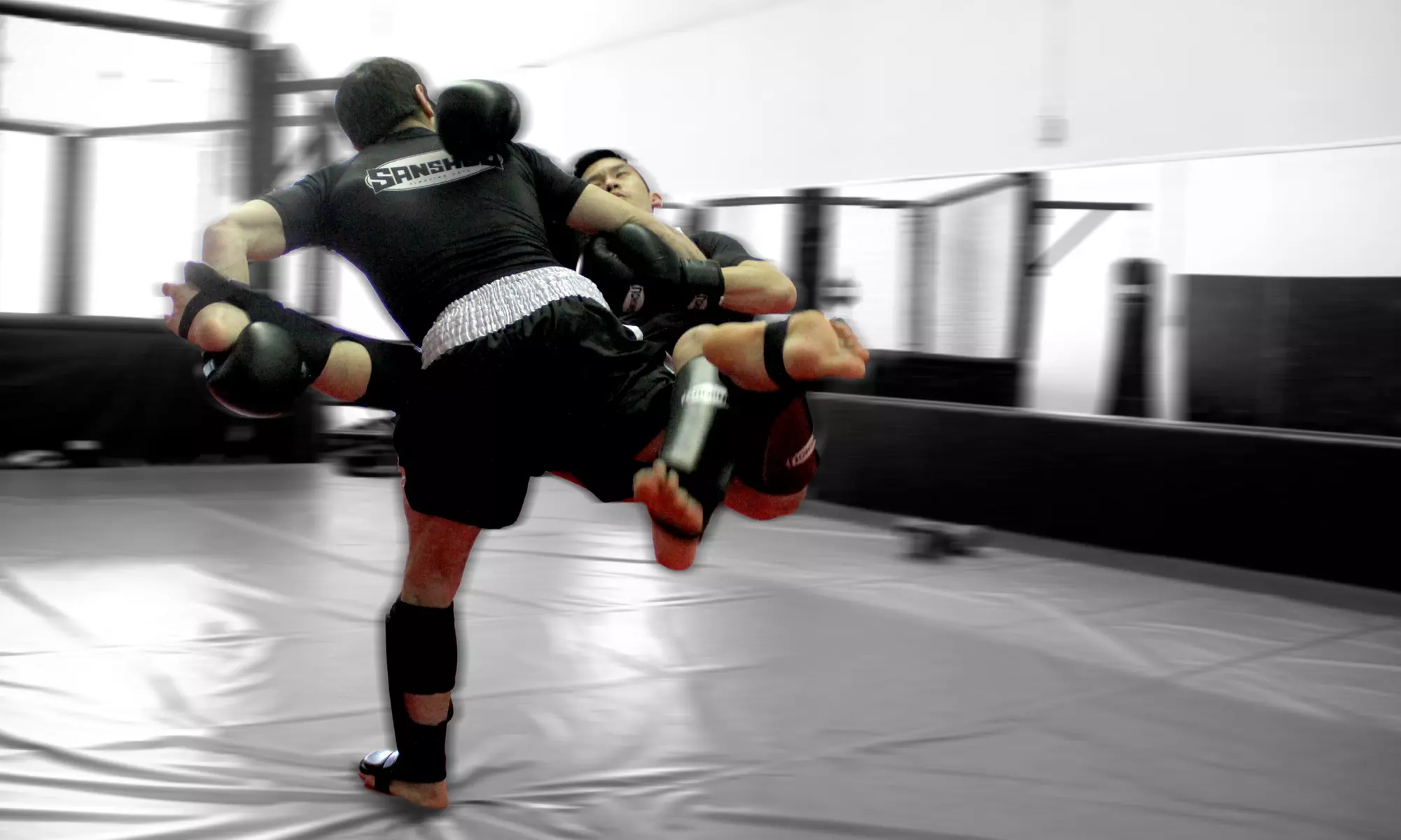 Up to 60% Off BJJ & Kickboxing Training at Apex Sanshou Team - Primary Image