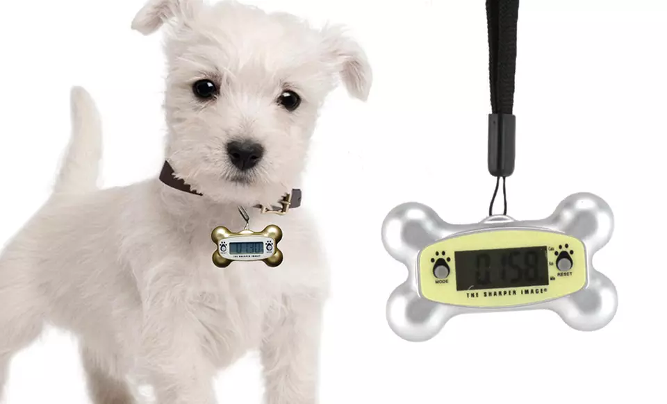 Sharper Image Pet-O-Meter Pedometer. Multiple Colors Available. Free Returns. - Primary Image