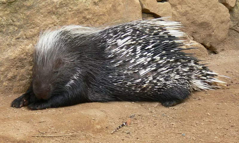 Entrada a Maroparque