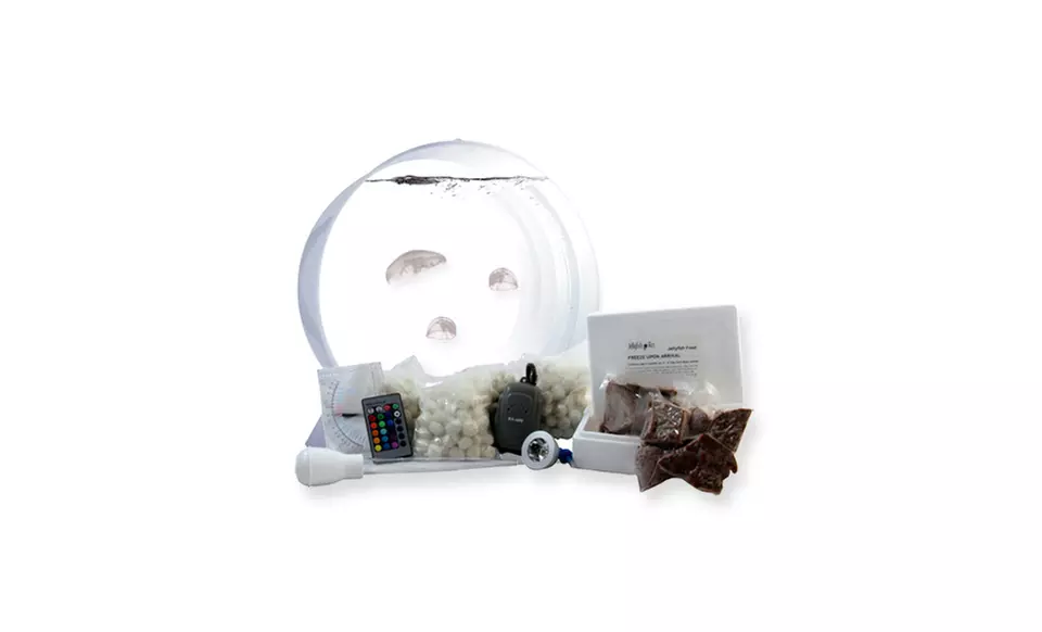 Desktop Jellyfish Kit with Tank, Jellyfish, and Food from $249.99–$349.99. - Second Medium