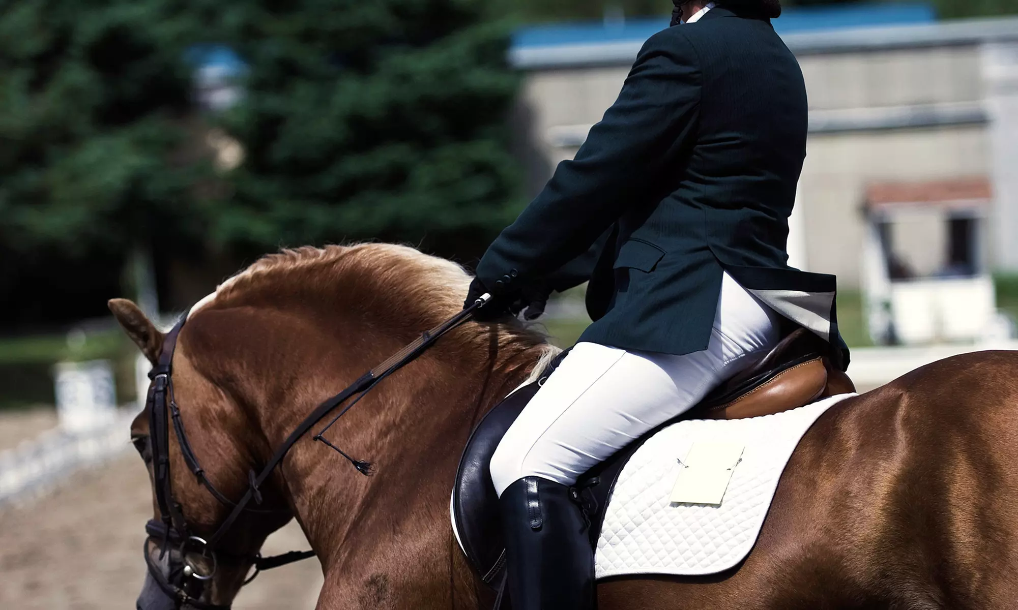 One or Four 60-Minute Private Horseback-Riding Lessons at Sugar Magnolia Farm (Up to 55% Off) - Primary Image