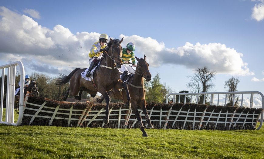 Image 1: Punchestown Racecourse - Up to 51% Off