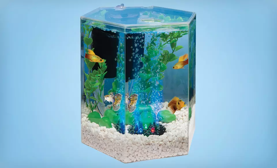 Tetra 1-Gallon Bubbling LED Desktop Aquarium Kit. Free Shipping and Returns. - Primary Image