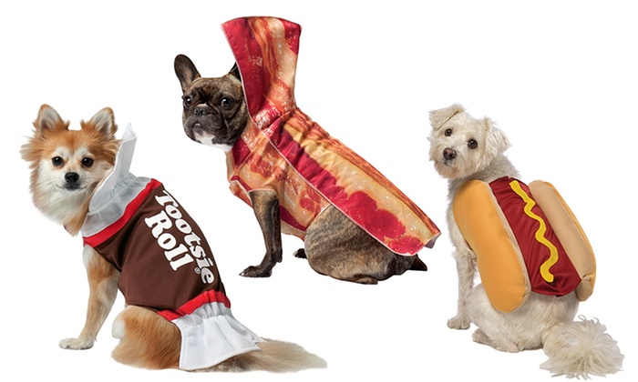 Food Halloween Costumes For Dogs Groupon Goods