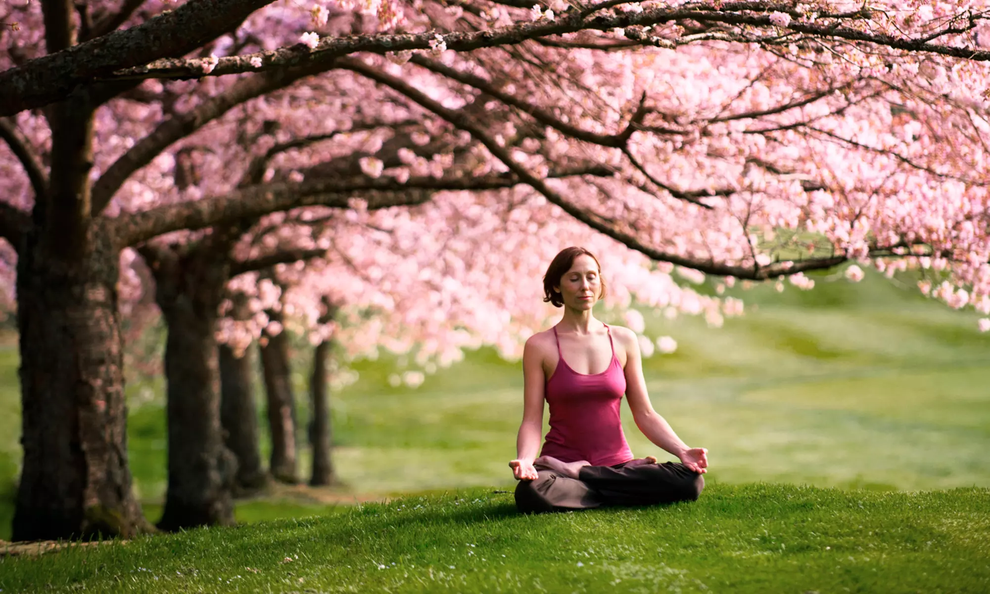 10 Yoga Classes or One Month of Unlimited Yoga Classes at RA MA Institute (Up to 68% Off) - Primary Image