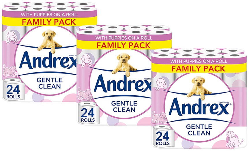 Image 5: Up to 96 Rolls of Andrex Toilet Paper