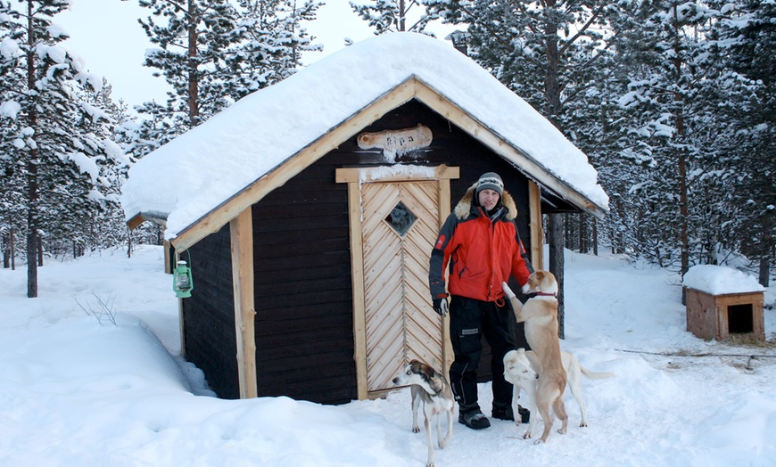 Image 3: Lapland Dog Sledding